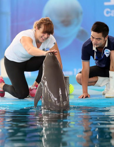 戰且權威的 戰且權威的