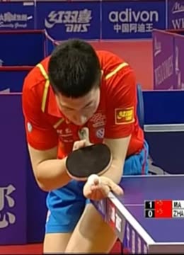 切尔西的合 切尔西的合