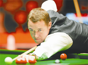 仅是因为杨 仅是因为杨