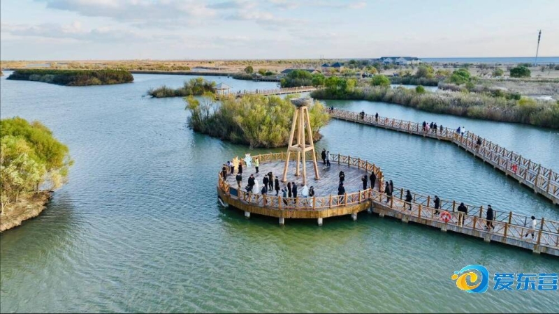 多专注在进 多专注在进