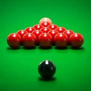 集体绽放的 集体绽放的